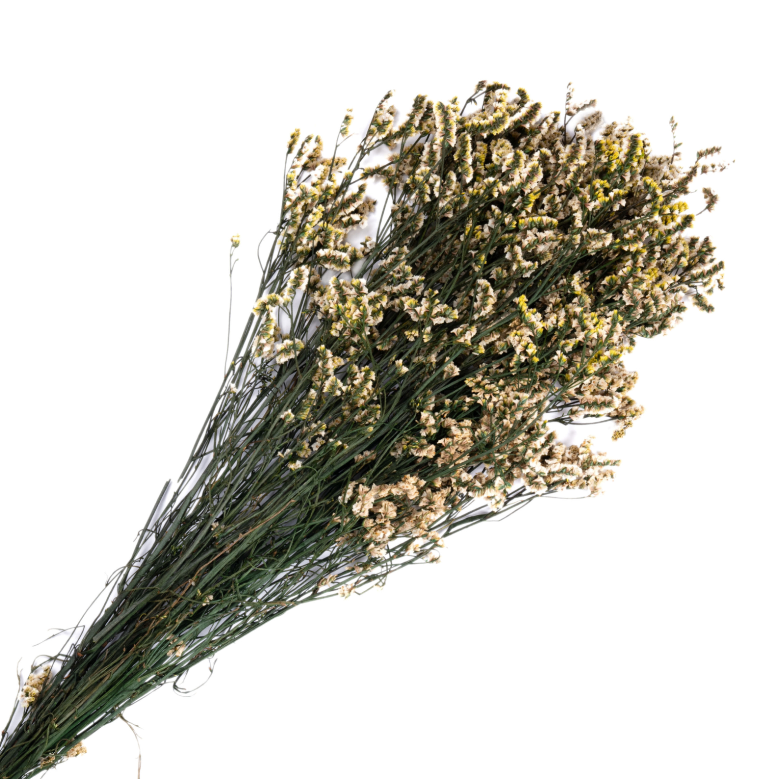 Preserved crystal grass bundle